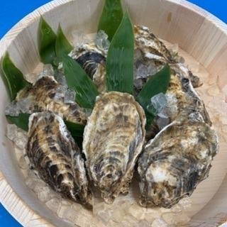 北海道仙鳳趾産牡蠣の直売 発送 A 釧路のその他の無料広告 無料掲載の掲示板 ジモティー 北海道仙鳳趾産牡蠣の直売 発送 A 釧路のその他の無料広告 無料掲載の掲示板 ジモティー