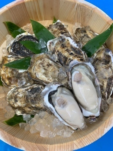 北海道仙鳳趾産牡蠣の直売 発送 A 釧路のその他の無料広告 無料掲載の掲示板 ジモティー