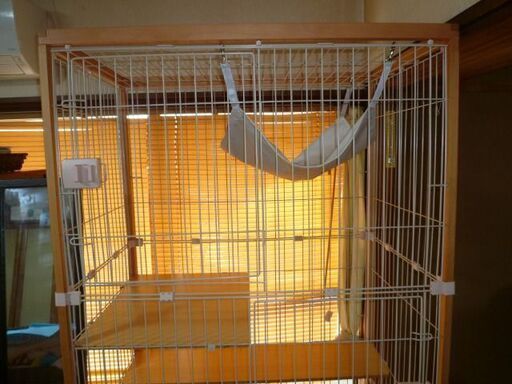 送料無料猫 ケージ 木製 キャットケージ 3段 大型 多頭飼い 組立簡単 木製フレーム 高級感 おしゃれ ペットケージ 脱走防止 ナナキリ 境港のその他の中古あげます 譲ります ジモティーで不用品の処分 送料無料猫 ケージ 木製 キャットケージ 3段 大型 多頭飼い 組立簡単 木製フレーム 高級感 おしゃれ ペットケージ 脱走防止 ナナキリ 境港のその他の中古あげます 譲ります ジモティーで不用品の処分