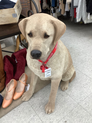 犬置き物 レトリバー