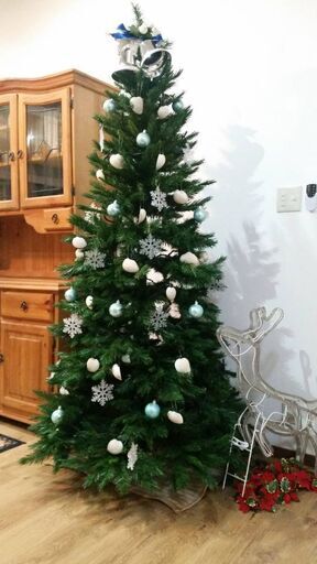 特大 クリスマスツリー
