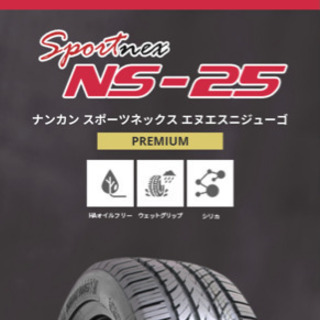 新作ナンカンNS25 バリ山 225-35-19 2本