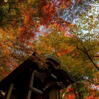 ゆるもやカメラ旅　すぐそこにある絶景を見に行こう - 神戸市