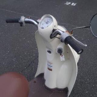 スクーピー AF55 実動 軽整備済 スクーター 原付 愛知県豊橋～引取限定