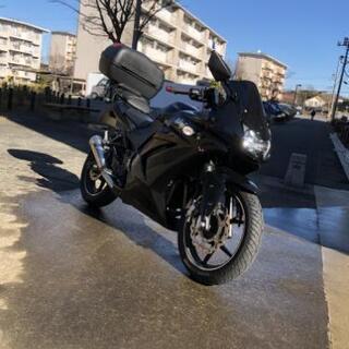 カスタム有り！ninja250r走行距離22000キロ代！一部交換も考えてます！ カスタム有り！ninja250r走行距離22000キロ代！一部交換も考えてます！