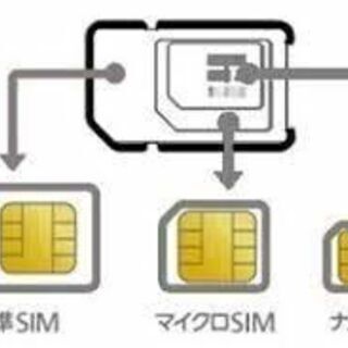2660円/月  100GB通信データSIM 新品（キャンペン中価格）