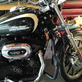 青森発*XL1200Rスポーツスターインジェクション