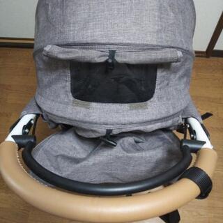 新品未使用 AIRBUGGY 