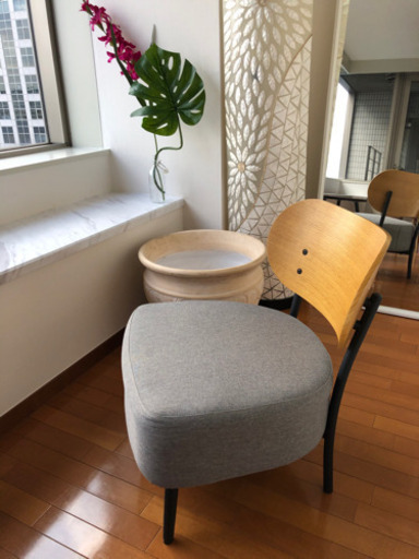 希少】モダン・デザイナーズチェア | muniotuzco.gob.pe