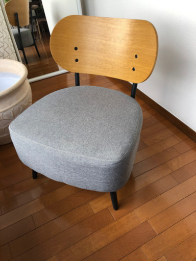 希少】モダン・デザイナーズチェア | muniotuzco.gob.pe