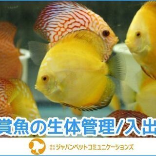 【稲毛区】観賞魚の生体管理・入出荷！★男女不問！未経験者大歓迎 ...