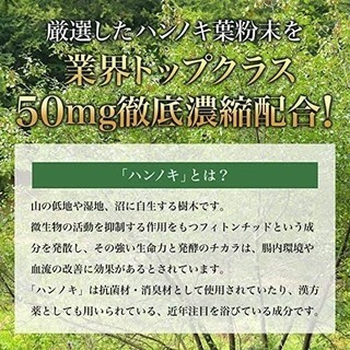 あなたのお店に置かせてもらえませんか？🌿 - その他