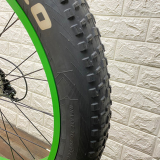 TXED  ファットバイク