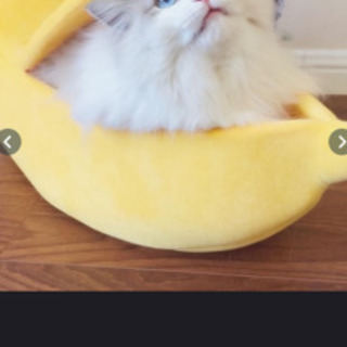 子猫・小型犬用ベッド　バナナ型