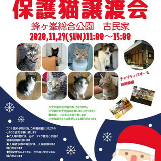 第１２回保護猫譲渡会in山口県