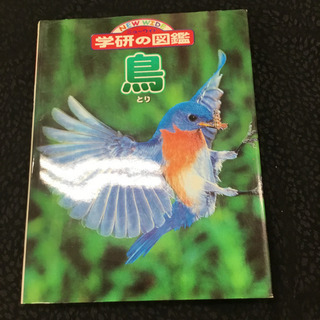 図鑑セット　20冊