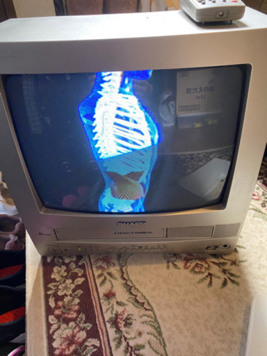値下げ！シャープ　テレビとビデオの一体型　テレビビデオ