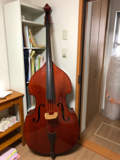 コントラバス　チャキ