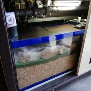 水槽(120cm横 高さ55cm 奥行き45cm)