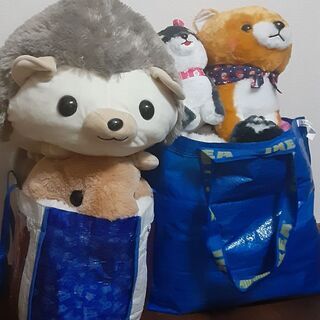 Ufoキャッチャーぬいぐるみ Yukio 南浦和のおもちゃ ぬいぐるみ の中古あげます 譲ります ジモティーで不用品の処分 Ufoキャッチャーぬいぐるみ Yukio 南浦和のおもちゃ ぬいぐるみ の中古あげます 譲ります ジモティーで不用品の処分