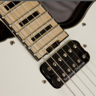 シェクター　SCHECTER PA-FC-KA 新品未使用