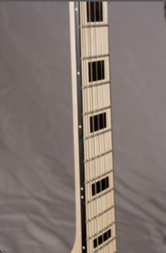 シェクター　SCHECTER PA-FC-KA 新品未使用