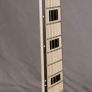 シェクター　SCHECTER PA-FC-KA 新品未使用