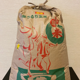 令和2年産　徳島県産コシヒカリ30kg 水稲うるち玄米　