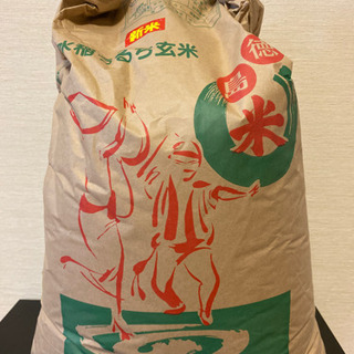 令和2年　徳島県産コシヒカリ　30kg 水稲うるち玄米　