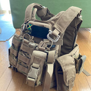 DBT MTAC RG 実物 プレートキャリア 不足品有