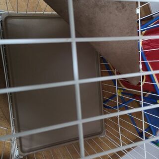 猫のケージ 猫用ジャングルジムセット Aki 南鳩ヶ谷のその他の中古あげます 譲ります ジモティーで不用品の処分