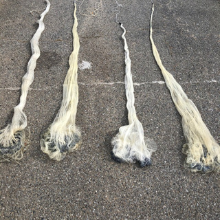 投網 投げ網 800目 円周約13m 縦横約2cm 漁獲 漁 投網漁 海 川 河 アウトドア キャンプ 釣り フィッシング 釣り具 漁業 仕掛け Earth Wing 通販 Paypayモール