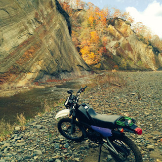 ヤマハ DT50 フルサイズ50cc