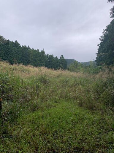 雑種地50万価格相談松田町寄1404 キャンプ場など くまざわ 新松田の土地販売 土地売買の不動産 住宅情報 無料掲載の掲示板 ジモティー 雑種地50万価格相談松田町寄1404 キャンプ場など くまざわ 新松田の土地販売 土地売買の不動産 住宅情報 無料掲載の掲示板 ジモティー
