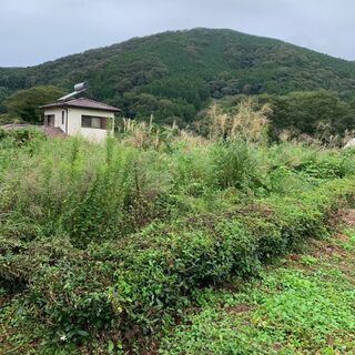 土地　宅地　971㎡　190万価格応相談　神奈川県　足柄上郡松田...