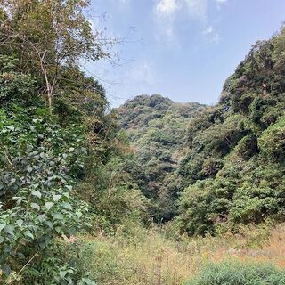 【成約済】山林物件　鹿児島県姶良市平松