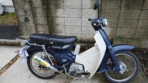 正規取扱店】 リトルカブ改 88cc カスタム 88CC - www.annuaire