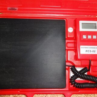 RPBINA2R チャージングスケール RCS-02 中古品 pgenwTcVFFsbo5a9RXtyear3hQHiKa