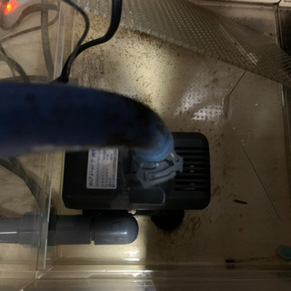 【マーフィード】オーバーフロー水槽セット 90cm 