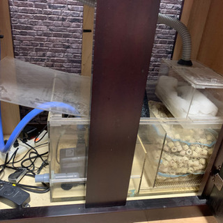 【マーフィード】オーバーフロー水槽セット 90cm 