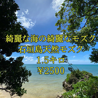 【ネット決済・配送可】石垣島の天然モズク