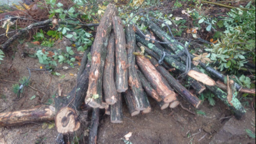 楢木、クヌギの木薪焚き火 (ぐり) 細野のその他の中古あげます・譲り