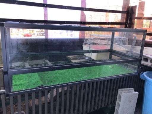 爬虫類ゲージライト付き