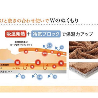 Phiten ファイテン 星のやすらぎ 毛布敷きパッド ブラウン ダブル YO667088