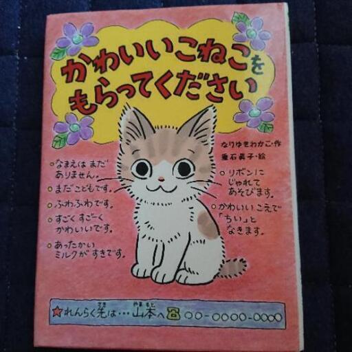 かわいいこねこをもらってください Chimy 前後のおもちゃの中古あげます 譲ります ジモティーで不用品の処分 かわいいこねこをもらってください Chimy 前後のおもちゃの中古あげます 譲ります ジモティーで不用品の処分