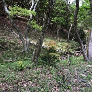 青山高原内の別荘地