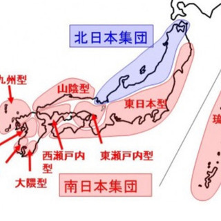 ミナミメダカ(クロメダカ)東瀬戸内型