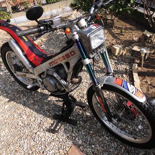 トライアルバイク モンテッサ Cota315R