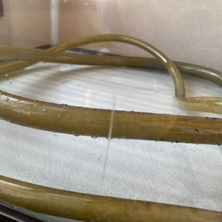 90センチ水槽　外部式フィルター　水槽台　照明セット