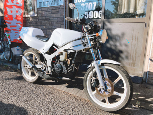 ホンダ　NS-1 ネイキッド 仕様